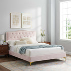 Modway - Amber Touffe Performance Velvet Lit à plateforme jumelle, Rose-Velours de performance résistant aux taches
