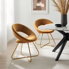 Modway - Nouvelle Performance Velvet Chaise à manger Ensemble de 2 - Cognac d’or-Chaises d’accent glam déco