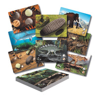 Yellow Door - Cartes d’activités d’exploration et de découverte des dents préhistoriques, lot de 16-Conçues pour être utilisées avec notre ensemble Dents préhistoriques, ces cartes d'activités passionnantes permettront aux enfants d'associer, d'explorer, de parler de leurs découvertes et d'en apprendre davantage sur les dinosaures et autres animaux préhistoriques.