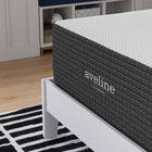 Modway - Aveline 14 po Mousse à mémoire de forme Matelas simple-Housse amovible à fermeture éclair en tricot extensible