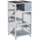 PawHut - Catio 34 L maison pour chat d’extérieur sur roulettes - 33,9 po L x 31,5 po l x 65,9 po H - gris-Combine des rampes pour chats, des boîtes de couchage, des hamacs et des plateformes 