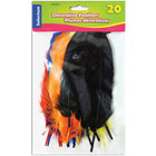 Selectum - Plumes - Couleurs variées-Plumes - Couleurs variées