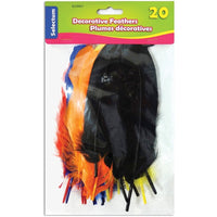 Selectum - Plumes - Couleurs variées-Plumes - Couleurs variées