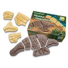 Yellow Door - YUS1230 Creusez et Découvrez - Ensemble de Dinosaures-Les tailles, les formes et le nombre de pièces par progression de construction de dinosaures offrent différents défis gratifiants, tout en aidant les enfants à penser de manière spatiale, en repérant les connexions entre chaque partie pour compléter le dinosaure.