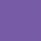North American Paper Inc. - Papier de bricolage, violet, 9 po x 12 po, 48 feuilles-12 po x 9 po (portrait)