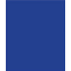 North American Paper Inc. - Papier de bricolage, bleu foncé, 9 po x 12 po, 48 feuilles-12 po x 9 po (portrait)