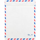 JAM Paper - Enveloppes Tyvek indéchirables à extrémité ouverte pour catalogue - 10 x 13 - blanc - courrier aérien - paquet de 10-Taille : extrémité ouverte (10 x 13 pouces)