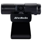 Avermedia - Trousse de vidéoconférence 317-Deux microphones intégrés