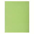 North American Paper - Carton bristol 4 épaisseurs, 22 po x 28 po, 48 feuilles, vert émeraude-22 po x 28 po