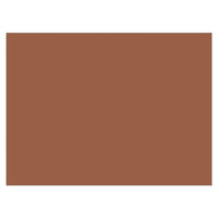 Pacon – Papier de construction Tru-Ray, brun, 18 x 24 po, 50/paquet (PAC103089)-50 feuilles de papier d’art pour des projets de bricolage