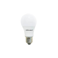 Northern Stars – Ampoule DEL 80073, A19 7W, intensité réglable, givré, blanc, paquet de 2-DEL A19 de 7W, blanc chaleureux (blanc doux)