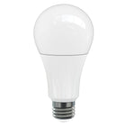 Northern Stars – Ampoule DEL 80086, A21 17 W, intensité réglable, givré, blanc chaud, paquet de 2-DEL A21 17 W, blanc chaud (blanc doux)