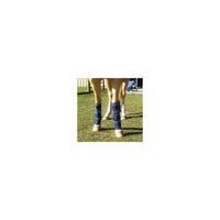 TechNiche – Bottes rafraîchissantes pour cheval Hyperkewl, bleu, paq./2 (8550 RB)-Température de 20 à 30 % plus fraîche que la température ambiante