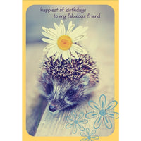 Aline Greetings – Carte d'anniversaire pour ami, hérisson avec marguerite, happiest of birthday to my fabulous friend, paq./18-Papier non couché de qualité supérieure