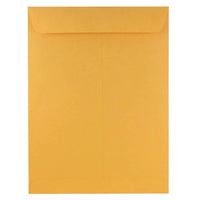 JAM Paper Enveloppes à ouverture au sommet pour catalogue, 9 x 12 po, papier kraft brun, 100/paquet (4132)-9 x 12 po