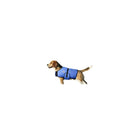 TechNiche – Manteau rafraîchissant pour chien Hyperkewl, bleu, petit (8529 RB S)-Se fixe par une attache au niveau du ventre et du poitrail. Souple au niveau des épaules, il permet à votre chien de bouger sans gêne