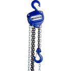 Gray Tools â€“ Palan à chaîne, capacité de lever 3 tonnes, levage de 10 pi, descente de 10 pi-Capacité de levage (tonnes) : 3,0