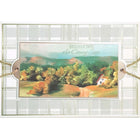Rosedale Gold - Cartes de souhaits/Enveloppes 51/2 po x 8 po, paquet de 6-Cartes de souhaits qualité boutique.