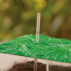 Educational Insights - Contenant à compost transparent Now You See It, Now You Don’t-Taille : 8 haut. x 12 larg. x 4 prof. (po)