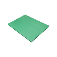 Pacon Papier de Construction -18 x 24 (po) - Vert de vacances - Paquet de 50 (8017)-Vert de vacances