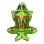 Dissect-It - Super labo de dissection de grenouille-La grenouille est en matière gélatineuse biodégradable et se découpe comme du beurre, donc il n’y a aucun danger pour l’enfant