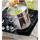Euro Cuisine – Extracteur de jus pour cuisinière EC9500, acier inoxydable-Pour extraire du jus 100% pur et délicieux et cuire des repas complets à la vapeur 