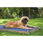 TechNiche – Tapis rafraîchissant pour chien Hyperkewl, bleu, grand (8511 RB L)-Peut être utilisé en intérieur comme en extérieur