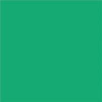 North American Paper Inc. - Papier de bricolage, vert, 12 po x 18 po, 48 feuilles-18 po x 12 po (portrait)