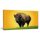 Designart – Lone Bison, impression sur toile, 5 panneaux (PT2326-32-16)-Impression