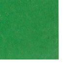 North American Paper Inc. - Papier de bricolage - 18 po x 24 po - vert - 48 feuilles-48 feuilles par paquet