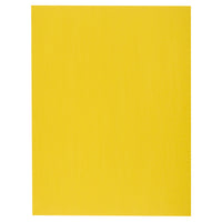 North American Paper Inc. - Papier de bricolage - 18 po x 24 po - jaune - 48 feuilles-Parfait pour les projets ou l’artisanat