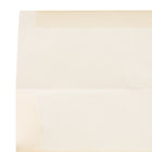 JAM Paper Enveloppes translucides A10, ocre printanier, 250/paquet-Poids du papier : 30 lb