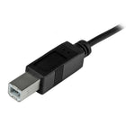 StarTech ® Câble USB-C à USB-B, M/M, 6,6 pi (USB2CB2M)-Compatible avec les ports Thunderbolt 3