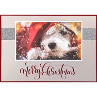 Rosedale - Cartes de souhaits avec enveloppes "Joyeux Noël" Chien - 5-1/2 po x 8 po - Anglais - Paquet de 12-Carte de souhaits