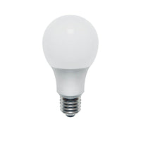 Northern Stars – Ampoule DEL 80079, A19 9W, intensité réglable, givré, blanc, paquet de 2-DEL A19 9W, blanc chaud (blanc doux)