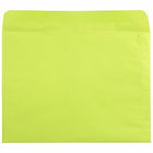 JAM Paper - Enveloppes Colourées pour catalogue de livrets 9 x 12 - Vert lime ultra - paquet de 500-Taille: 9 x 12 pouces