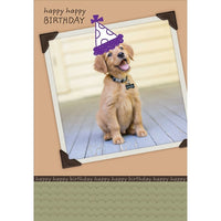 Millbrook Studios – Cartes de souhaits et enveloppes, Happy Happy Birthday, 5 3/8 x 7 3/4 po, 18/paquet (06149)-Imprimé sur papier cartonné non couché