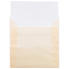 JAM Paper Enveloppes translucides, 5,5 x 5,5 po, ocre printanier, 250/paquet-Taille des enveloppes : 5,5 x 5,5 po