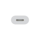 Apple - Adaptateur USB-C vers Lightning - Blanc-Couleur: Blanc