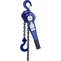 Gray Tools â€“ Palan à levier, capacité de lever 1,5 t, levage de 5 pi-Capacité de levage (tonnes) : 1,5