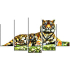 Designart – Grande illustration animale sur toile, tigres doux (PT2363-373)-Impression