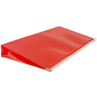Jam Enveloppes de plastique format livret avec fermeture à glissière, 5 x 10 po, rouge-Fermeture : gommée