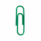 JAM PAPER - Colore norme 1" Trombones, Vert, 3 Paquets de 100-Taille : 2,5 cm (Norme/regulier)