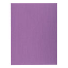 North American Paper Inc. - Papier de bricolage - 18 po x 24 po - violet - 48 feuilles-Parfait pour les projets ou l’artisanat