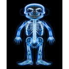 Poupée RoylcoWhat's Inside Me-Connectez le son aux processus corporels