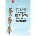 Millbrook Studios – Cartes d’anniversaire et enveloppes, I’D Know, 5 3/8 x 7 3/4 po, 18/paquet (06118)-Imprimées sur papier cartonné non couché
