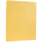 JAM Paper Papier cartonné genre bristol, fini vélin, 8 1/2 x 11 po, chamois, paquet de 100-Dimensions : 8 1/2 x 11 po